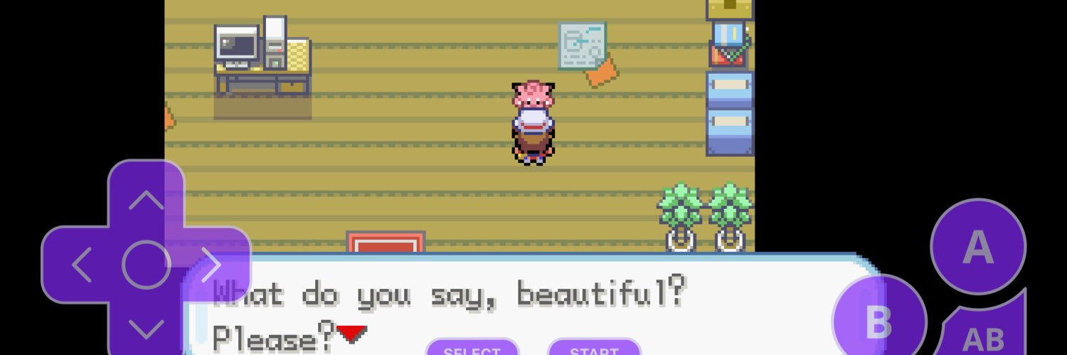 The Astro ferret ™️ banner