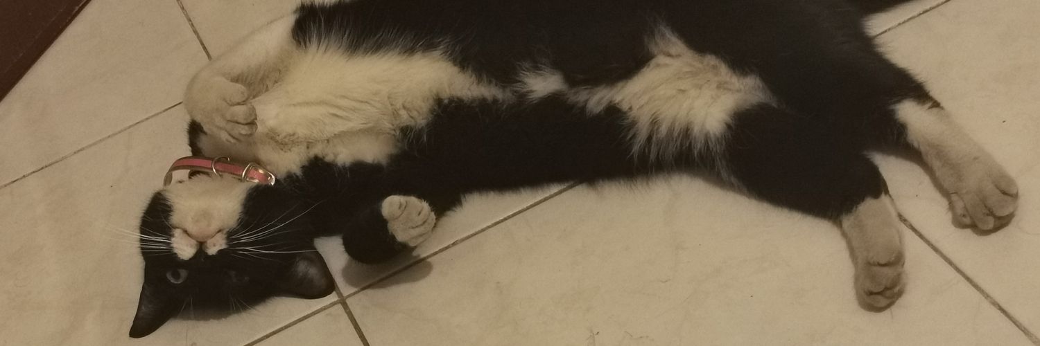 GarzaAngela's profile banner image