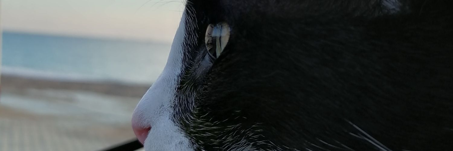 ayseenrgoksuu's profile banner image