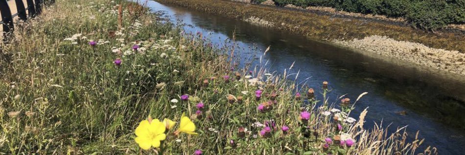 Belmullet Tidy Towns's banner