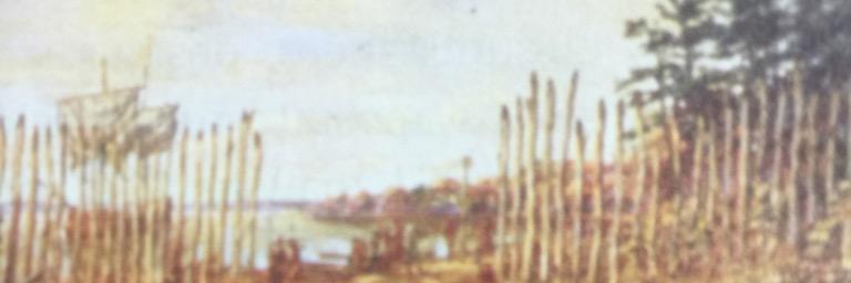 metacomet2moon's profile banner image