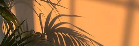 NohaYasser's profile banner image