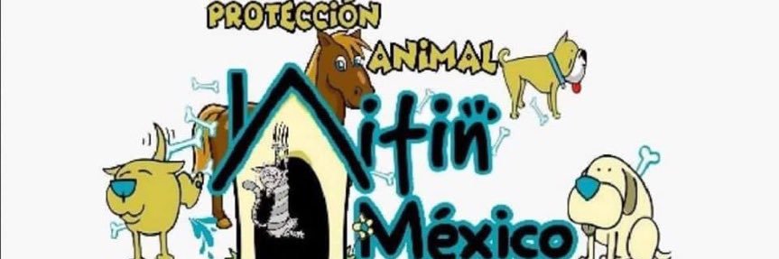 Nitin México banner