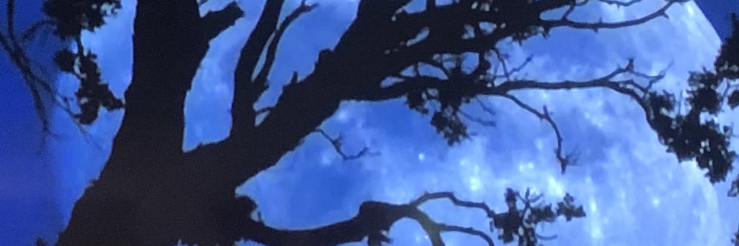 lvillajr's profile banner image