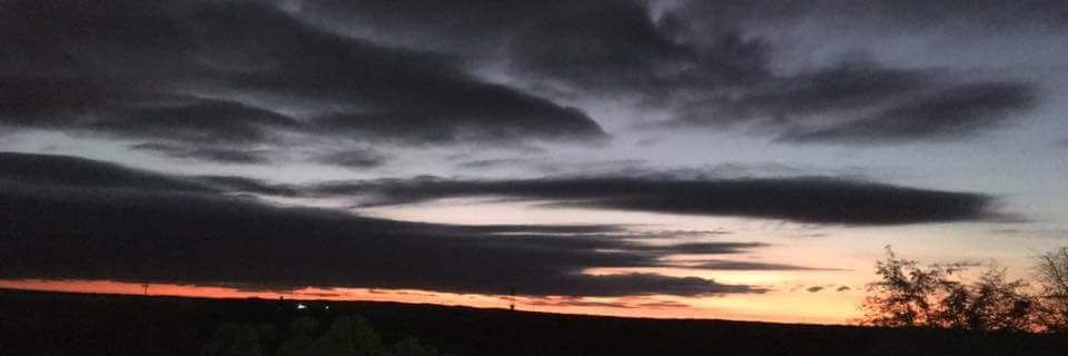 ToetaD's profile banner image