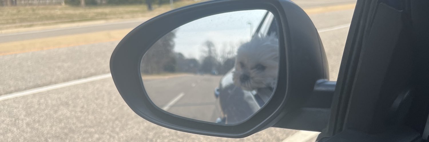 KsapWebby's profile banner image