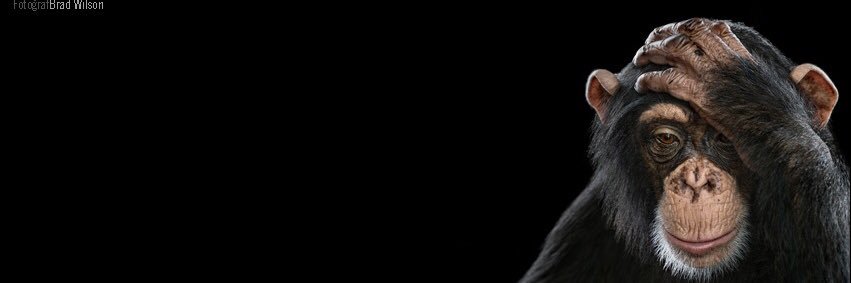 EminYavuzer's profile banner image