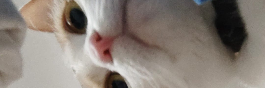 ivn_rem's profile banner image