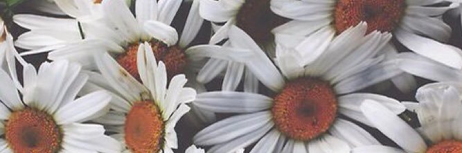negra_bocca's profile banner image