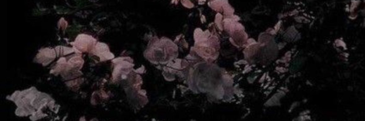 H_Almuhanadi's profile banner image
