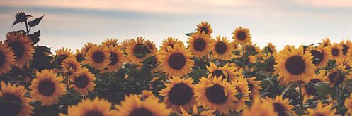 _thaaiscg's profile banner image