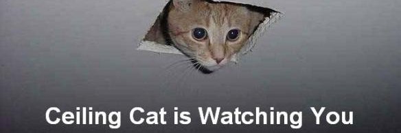 astroastrocat's profile banner image
