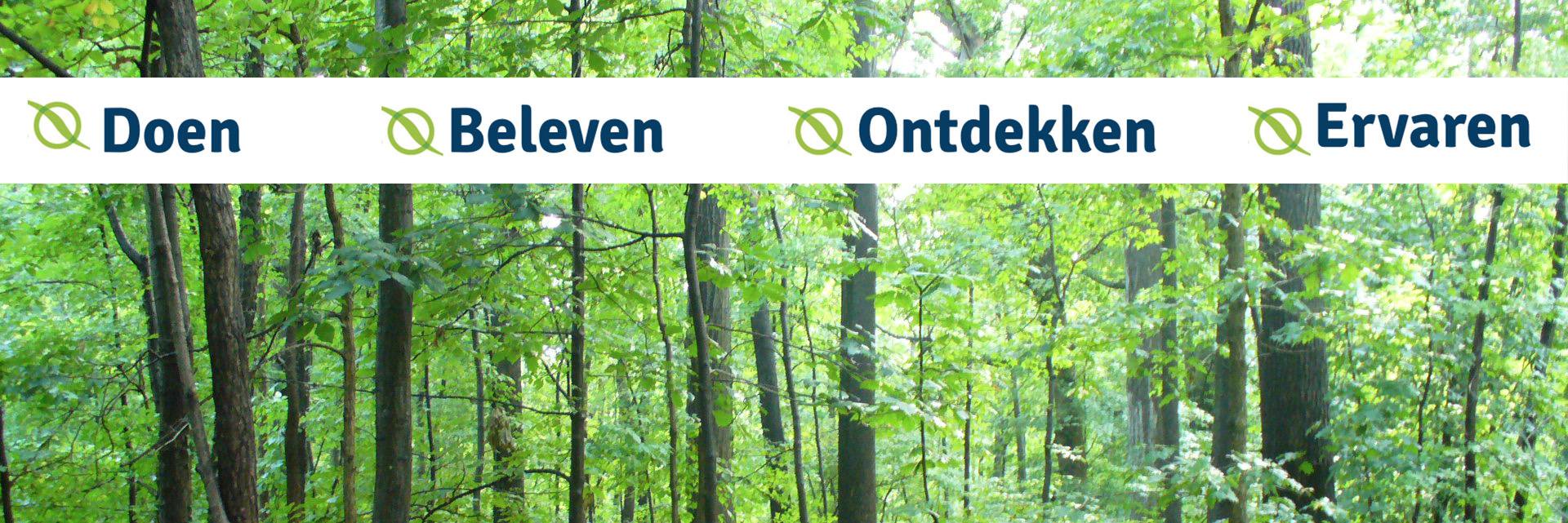 bikkelontwikkel's profile banner image