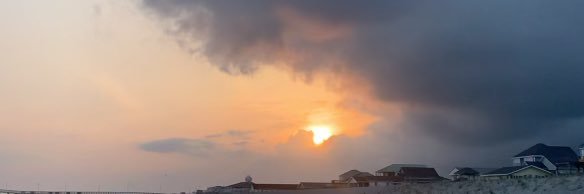 Misti Williams banner