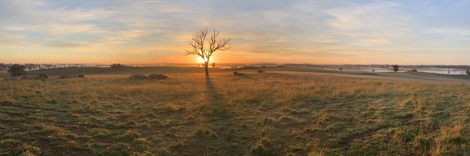 Jock Snodgrass banner
