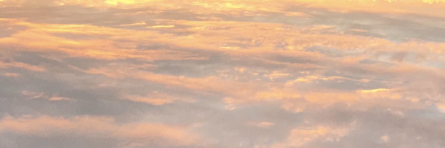 Nischa_'s profile banner image