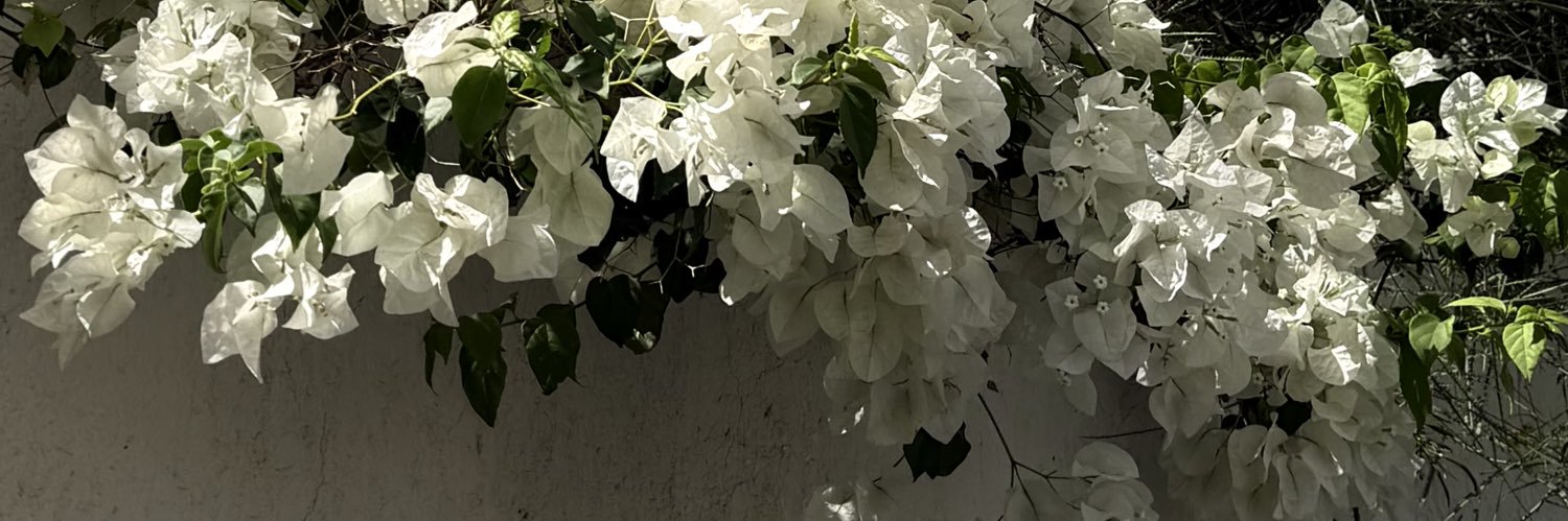 ixsyusuf's profile banner image