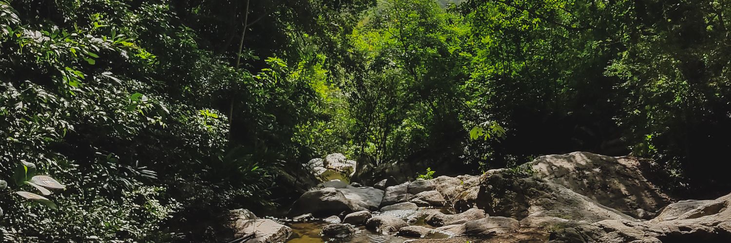 MrEverLopezD's profile banner image