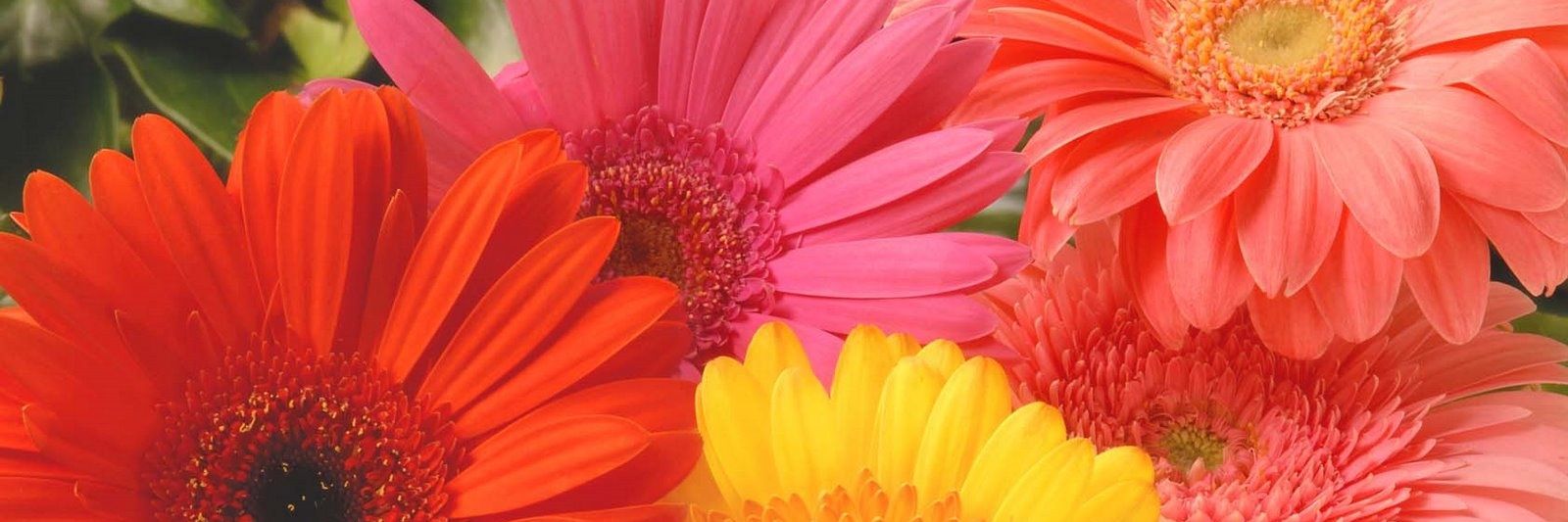 sparkplug2263's profile banner image