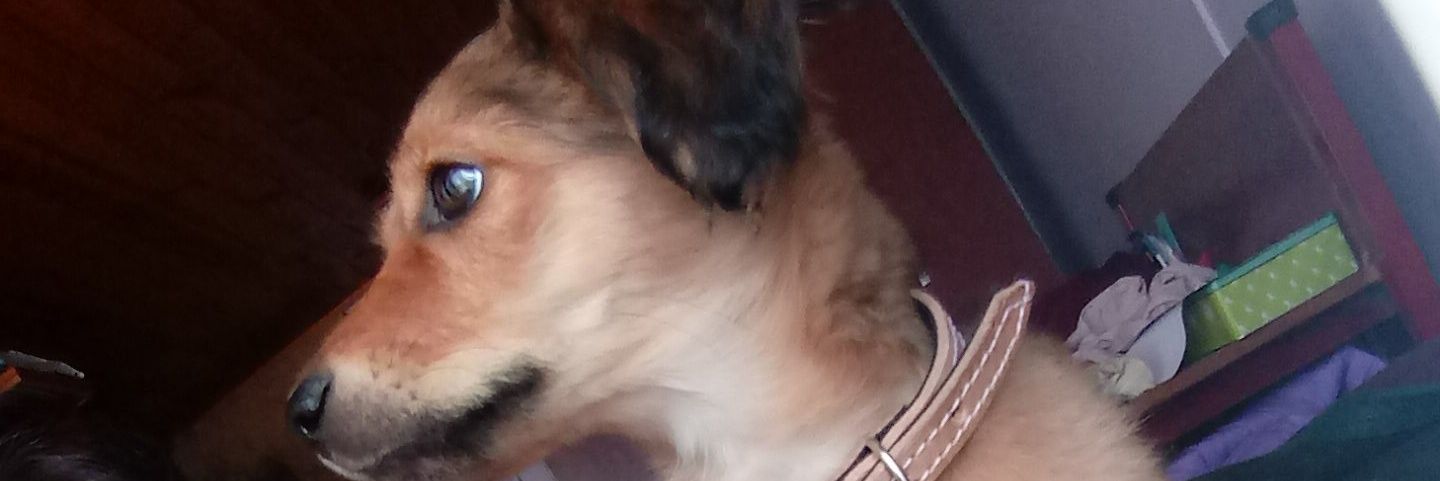 almendraa_h's profile banner image