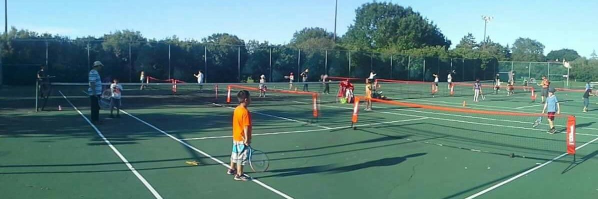 BoscoFernandes.com banner