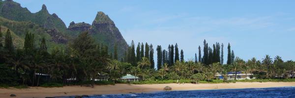 Barb_Bonnes Profile Banner