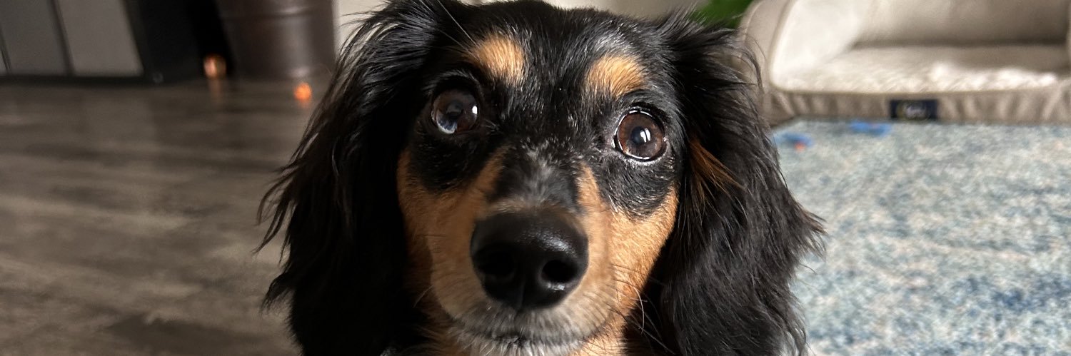 NicoleCalyn5's profile banner image