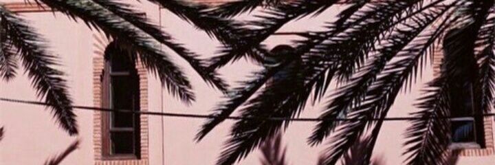 Kristiugalde's profile banner image