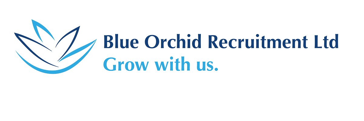 BlueOrchidRec's profile banner image