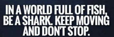 Kevin Buchman banner