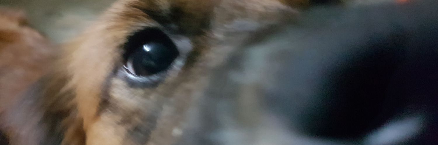 bidjsales's profile banner image