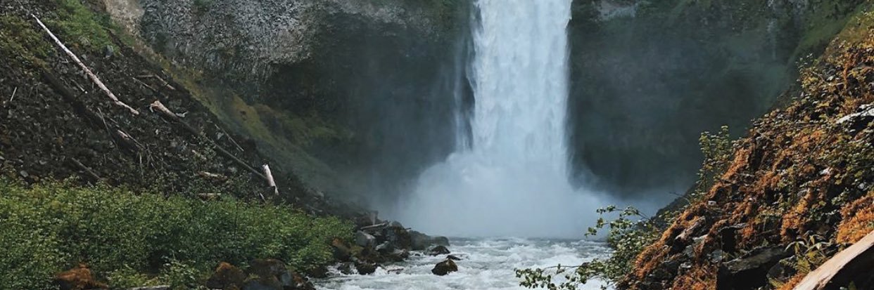 TaylorMander's profile banner image
