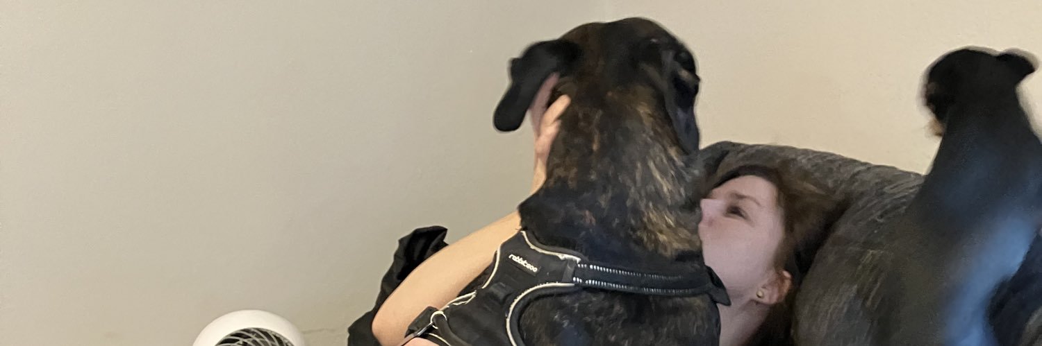 lexicollier9's profile banner image