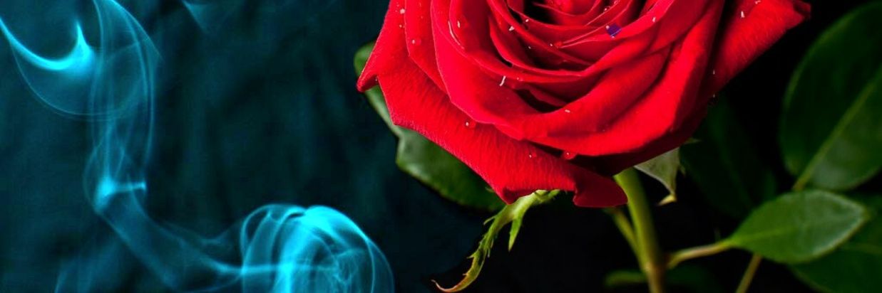 GURIM0's profile banner image