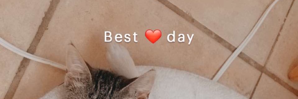 CatalinaIsHappy's profile banner image