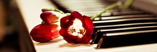 Luisi_G's profile banner image