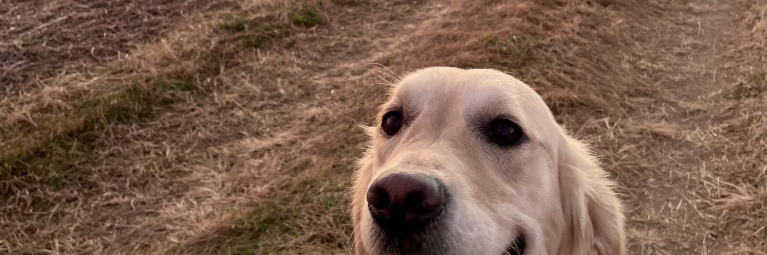 macy_renae's profile banner image