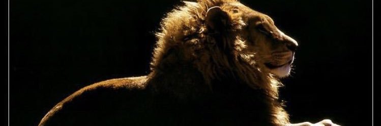ResidentComp's profile banner image