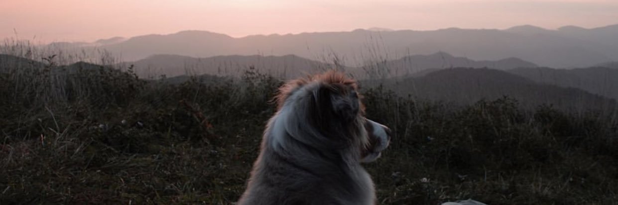 calebwalker25's profile banner image