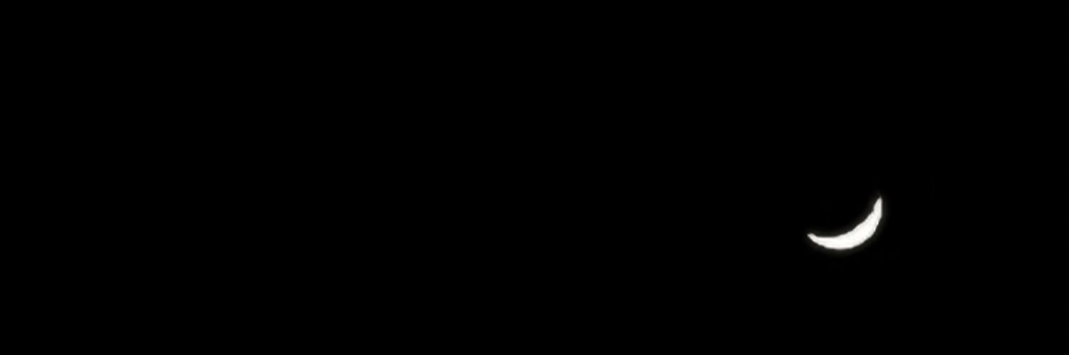 tattooevfede's profile banner image