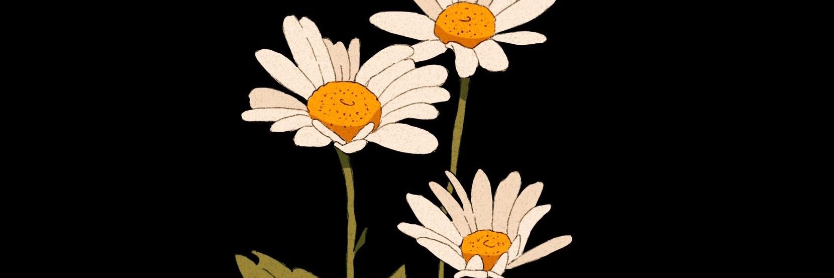 rocio7102000's profile banner image