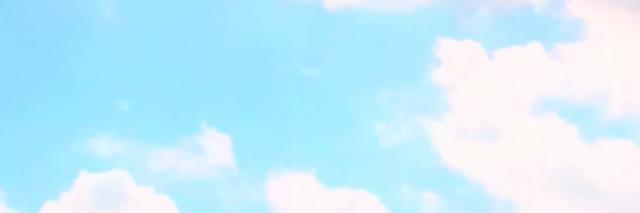 mseguinforest's profile banner image