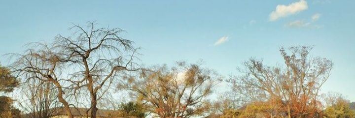 helloaiini's profile banner image