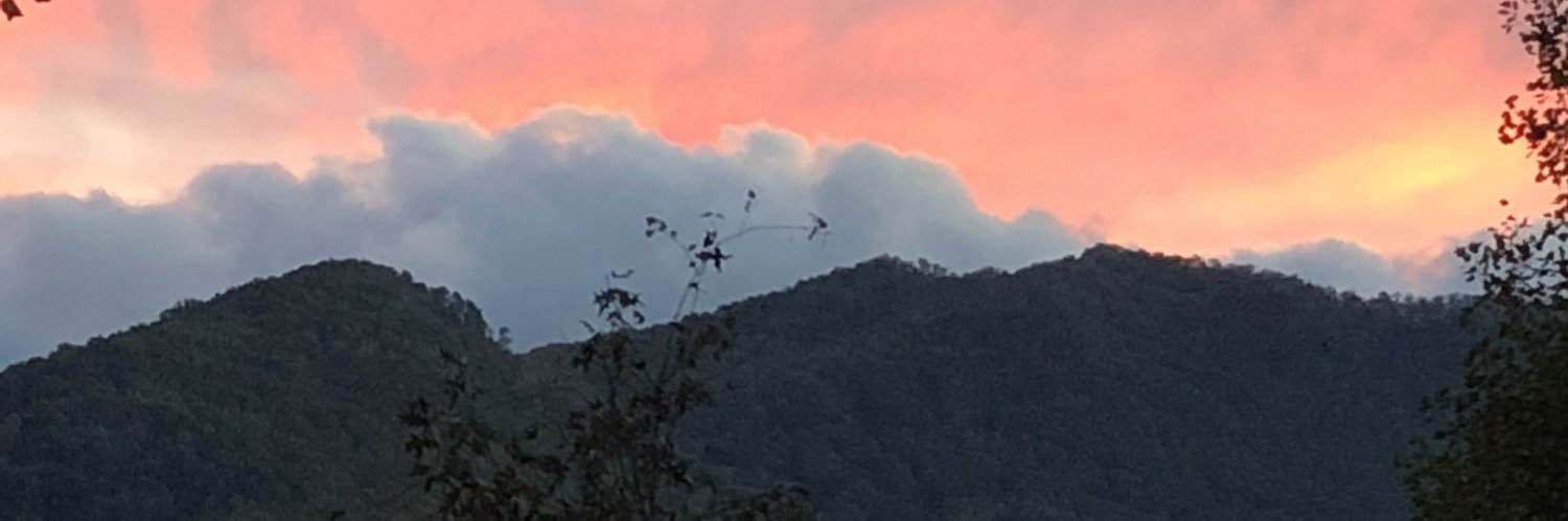 icpinkpalmtrees's profile banner image