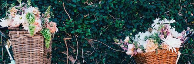 MissKylieRay's profile banner image