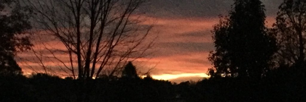 SallyRoby's profile banner image