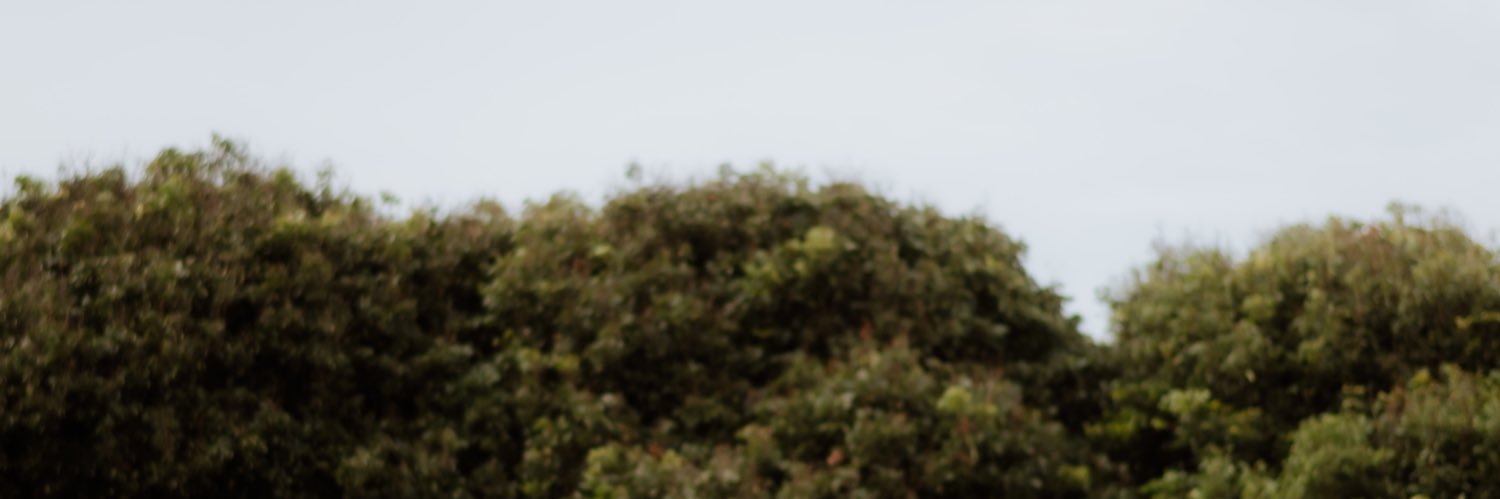 ptrahma's profile banner image