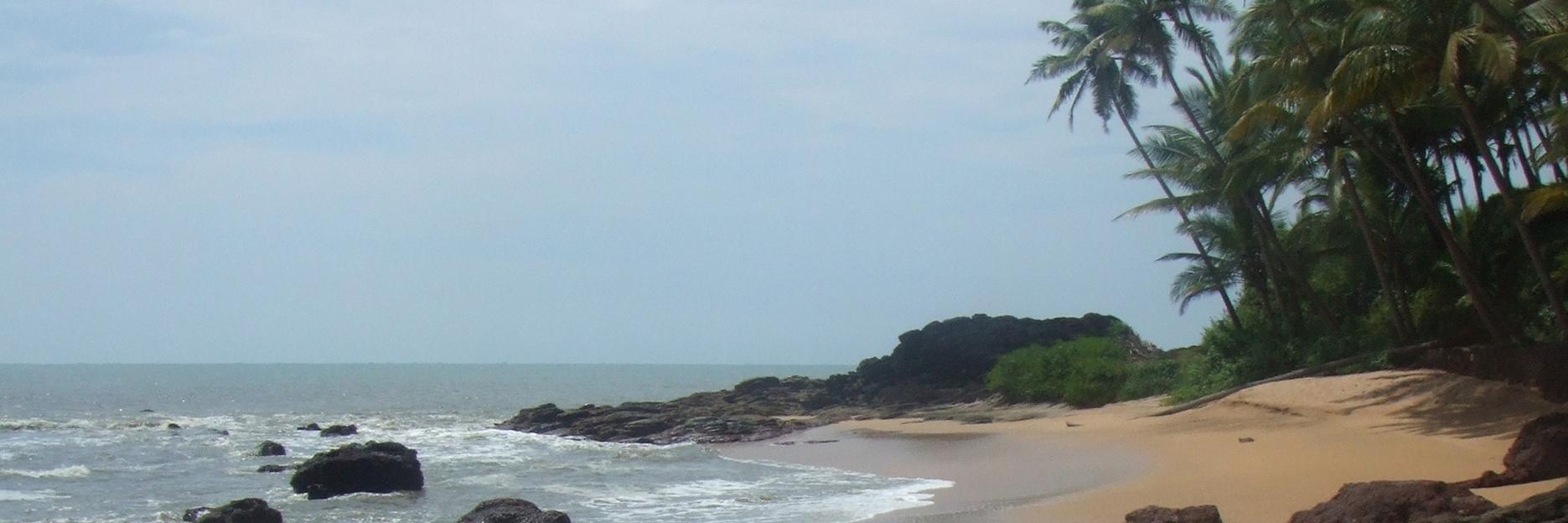 Kerala4SALE's profile banner image