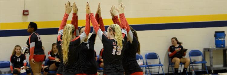Deer Park Volleyball banner