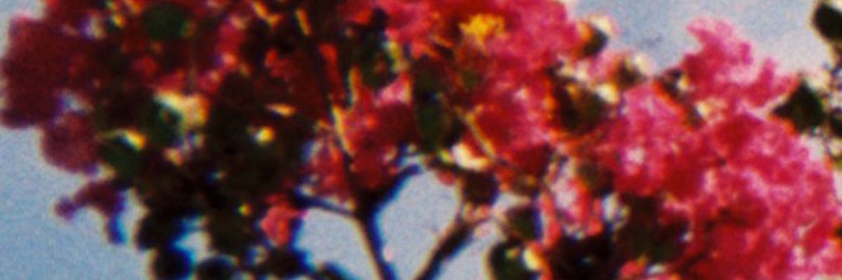 Exoticys's profile banner image